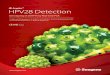 HPV28 Detection - Elettrobiochimica...CLART HPV 2 / 3 (Genomica) 4011 20 Cobas 4800 (Roche) 4400 00 InnoLiPA 4120 01 PANA Realtyper 1001 (Panagene) 3030 00 PANArray Genotyping Chip