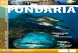 FONDÀRIA - Club d'Immersió Biologiacibsub.cat/rcs_gene/fondaria_71.pdfLes illes Formigues, una reserva marina immersa en la polèmica. 14 Biblioteca CIB (continuació). 15 Piscines,