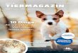 Ausgabe Nr. 10 | Oktober 2017 TIERMAGAZIN - AGILA · Hunderasse wurde ursprünglich als Jagdhund gezüchtet, ist aber bei entsprechender Auslas-tung auch ein toller Familienhund