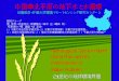 中国華北平原の地下水と水循環 - Chiba U · 2007. 5. 2. · 新しい地球環境問題 - 水問題 - ここで扱う水問題 取水技術の進展が農業生産量を増大させたが、水資源、特に地下水の更新性に関する