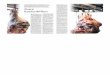 (16) do 21 februari 2013d | NRC Digitale editie · Interessante cijfers, maar in de beoordeling van vlees is, zeker voor de consument, C02- emissie vooralsnog geen argument. Vooral
