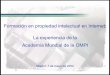 Formación en propiedad intelectual en Internet: La ... · Formación en propiedad intelectual en Internet: La experiencia de la Academia Mundial de la OMPI Madrid, 7 de mayo de 2002
