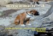 BOXEREN 3 · 2020. 6. 22. · BOXEREN 3 BOXEREN Udgivet af BOXER-KLUBBEN - Specialklub under DKK 1. juni 2011 - 42. årgang/nr.3 Oplag: ca. 800 BOXEREN udkommer den 1. i lige måneder