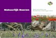 New Natuurlijk Boeren Brabantse natuurgronden Best practices op · 2012. 4. 11. · Biologische Producentencoöperatie Kempen-Meierij Europees Landbouwfonds voor plattelandsontwikkeling: