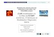 CLIM (modélisation du CLIMat) & ESTIMRwcrp.ipsl.jussieu.fr/PoleModel/Documents/MISSTERRE/Presentations12… · 1 100-1000 m 10000s m3 Hawaiano/Estromboliano Stromboli 0 
