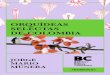 orquídeas selectas de colombia - kimera.comkimera.com/data/redlocal/ver_demos/RLBVF/VERSION/RECURSOS/REFE… · Múnera, Jorge Mario, fotógrafo Angulo, Guillermo, autor Orquídeas