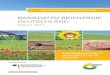Basisdaten Bioenergie Deutschland 2012 (deutsch) nachwachsende-rohstoffe.de BASISDATEN BIOENERGIE DEUTSCHLAND