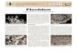 032-Flechten · carpon sp. wächst krustenartig auf Gestein Goldflechte Xanthoria pat-retina mit scheiben- förmtgen Fruchtkörpern, weitverbreitet Nabèlflechte Umbilicaria sp. auftropfwasser-
