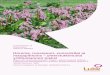 Horsma, ruusujuuri, vuorenkilpi ja marjapihlonia ... · профиля, однако ни одно из них не учит выращивать лекарственные травы
