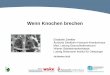 Wenn Knochen brechen - Wachkoma€¦ · Journal of Bone and Min Res. 2011(26) pp 229–238 . o . o . o . o . o . Osteoklastenvorläufer (hämatopoietische Stammreihe) Auslöser: Zytokine,