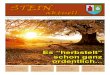 STEIN - Loipersdorfgemeinde.loipersdorf.at/0uploads/dateien339.pdf · Tourismusverbandes Stein, Brigitta Rädler, gratulierten und überreichten zur Feier dieses besonderen Anlasses