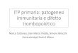 ITP primaria: patogenesi immunitaria e difetto trombopoietico · ITP primaria: patogenesi immunitaria e difetto trombopoietico Marco Cattaneo, Gian Marco Podda, Simone Birocchi Università