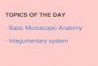 TOPICS OF THE DAY - anatomi.lecture.ub.ac.idanatomi.lecture.ub.ac.id/...histo-plus-INTEGUMEN-for-PSIK-et-midwif… · UMUM • Sel unit struktural dan fungsional dr kehidupan •
