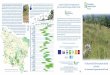 Les pelouses calcicoles de notre région préservées des ...cen-hautsdefrance.org/sites/default/files/fichiers/20130513-165747... · d'améliorer les connaissances sur l'écologie