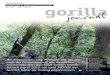 Zeitschrift der Nr. 56 – Juni 2018 gorilla · Zeitschrift der Berggorilla & Regenwald Direkthilfe Nr. 56 – Juni 2018 4 5 5 6 6 7 8 9 10 9 Wir entwickelten eine Methode, mit der