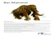 mammut urmu 2020 - Mammut am Ende der Eiszeit in die kalten Gebiete abwanderte. Mammuthus Primigenius