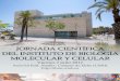 JORNADA CIENTÍFICA DEL INSTITUTO DE BIOLOGÍA …biotecnologia.edu.umh.es/.../319/2017/06/FOLLETO-JORNADA-IBMC … · Coordinador Programa Doctorado IBMC. 9:50h. ALMUDENA PEREZ