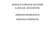ARACHNOFAUNE LIEUX DIVERS ARACHNIDES ARACHNIDAphilippedefranoux.fr/Documents/Entomofaunelieuxdiversarachnides.… · ARACHNIDES ARACHNIDA. ORDRE ARANEAE. FAMILLE ARANEIDAE Araniella