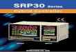 SRP30 CJ 200824出力用STP No. 11セグメントLCD 緑色 2桁+2セグメント 11セグメント文字高さ（mm） PV SV PTN STEP SRP33 20 12 10 10 SRP34 9 7 7 7 lバー表示