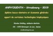 ANPH ODENTH Strasbourg 2019 - Home - Stelling · 2019. 7. 9. · Physioscan et le Biospect, mais il y en a d’autres. Méthodologie choisie Nécessité de pouvoir plonger dans l’ultrastructure