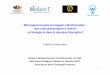Microspectroscopie et imagerie vibrationnelles : des ... · BioSpecT (BioSpectroscopie Translationnelle), EA 7506 Plate-forme d’Imagerie Cellulaire et Tissulaire (PICT) Université