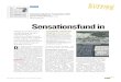 Sensationsfund in Carnuntum (1/2) - Ludwig Boltzmann Institute … · 2016. 5. 17. · Sensationsfund in Carnuntum (1/2) Neue Vorarlberger Tageszeitung Seite 10, 11 / 31. März 2016