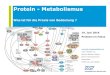 Protein - Metabolismus · 2020. 8. 31. · Also: nicht alle Proteine sind gleich Molke Kasein Soja Kollagen Vollständige Proteine Ja Ja Ja Nein Verdaulichkeit Schnell Langsam Schnell