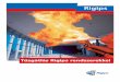 Tűzgátlás Rigips rendszerekkel · A Rigips katalógusban nem szereplô szerkezetek al-kalmazását vizsgálat kell megelôzze. Akkor is, ha az illetô eltérô szerkezet a Rigips
