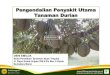 Pengendalian Penyakit Utama Tanaman Durianbalitbu.litbang.pertanian.go.id/images/2020/pdf/bt10.pdf · • Saput bagian yang sudah dilukai tadi menggunakan pestisida seperti ... •