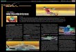 王刚： 我为海钓狂fydaily.fynews.com.cn/resfile/2015-05-30/05/05.pdf · 海龟、贝壳之类的生物。”王刚还记得#$.! 年他在南沙群岛的一次钓鱼经历。“那天早