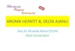 KRONİK HEPATİT B, DELTA AJANLI · 2014. 1. 29. · Anti-hepatitis delta virus seroprevalence and risk factors in patients with hepatitis B in Southeast Turkey Celen MK. Saudi Med