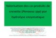 Valorisation des co-produits de crevette (Penaeus spp) par … · 2013. 12. 5. · protéines, favorisant l’extraction de la chitine •Fractions surnageant et culot: propriétés