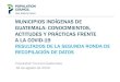 Municipios indígenas de Guatemala: Conocimientos, actitudes y … · MUNICIPIOS INDÍGENAS DE GUATEMALA: CONOCIMIENTOS, ACTITUDES Y PRÁCTICAS FRENTE A LA COVID-19 ... ¿Cuáles