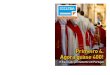 New Opinião - Agência ECCLESIA · 2017. 7. 24. · Diocese de Aveiro atenta à ação social O plano pastoral da Diocese de Aveiro para 2017-2018, que tem como palavra de ordem