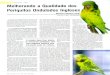 69º Campeonato Brasileiro de Ornitologia Amadora · melhor do que o dos machos porque nor- malmente o resultado dos cruzamentos pa- rece mais seguro no que diz respeito a in- serção