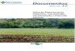 Solos do Assentamento Paiolzinho, Corumbá-MS: Caracterização … · 2017. 8. 16. · Assentamento Paiolzinho, segundo Embrapa (1997), encontram-se relacionadas abaixo e espacialmente