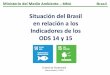 Situación del Brasil en relación a los Indicadores de los ...unstats.un.org/unsd/energystats/events/2018-Guatemala/... · Indicadores de los ODS 14 y 15 Ciudad de Guatemala Enero-Febrero
