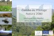 Comitأ© de Pilotage Natura COPIL Montagne des Aldudes - 09/11/2017 . Bilan quantitatif - temps passأ©