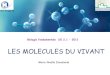 LES MOLECULES DU VIVANTifsiambroisepare20112014.f.i.f.unblog.fr/files/2011/10/... · 2011. 10. 18. · - Aldéhyde –CHO - Cétone C=O - Amine –NH2 L’eau est donc un solvant,
