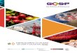 FORTALECIENDO LA CALIDAD EN CAFÉ Y CACAO DEL PERÚmoderna, competitiva e inclusiva alineada con la estrategia de desarrollo nacional, Plan Bicentenario: El Perú hacia el 2021. El