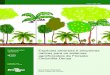 Espécies arbóreas e arbustivas nativas para os sistemas ...ainfo.cnptia.embrapa.br/digital/bitstream/item/190567/1/...Espécies arbóreas e arbustivas nativas para os sistemas agroflorestais