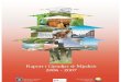 MINISTRIA E MJEDISIT DHE PLANIFIKIMIT HAPËSINOR …Raporti i Gjendjes së Mjedisit, 2006 - 2007 Agjencia e Kosovës për Mbrojtjen e Mjedisit MINISTRIA E MJEDISIT DHE PLANIFIKIMIT