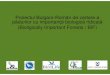 Proiectul Bulgaro-Român de cartare a pădurilor cu importan ţă ...monitoring.sor.ro/Download/04_DomsaC_Biologically...Ecosisteme forestiere amenin ţate K5 Păduri de lunc ă, păduri