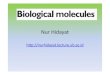 Nur Hidayat - Universitas Brawijayamaharajay.lecture.ub.ac.id/files/2014/07/2.-Pengenalan-bahan-organi… · • Buat review dari jurnal tentang salah satu material biologik (karbohidrat,