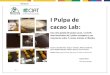 I Pulpa de cacao Lab...pg. 1 I Pulpa de cacao Lab: Una cata guiada de pulpa cacao, 11 chefs internacionales de 5 países europeos y sus reacciones sobre 7 cacaos nativos e híbridos