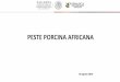 PESTE PORCINA AFRICANA · 2018. 9. 21. · Prevención en los países libres de la enfermedad: • Análisis de riesgo. • Estrictas medidas de bioseguridad. • Implementación