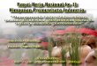 Himpunan Pramuwisata Indonesia -Seminar kit, termasuk polo-shirt kegiatan -Full-day tour of Ambon island-Ambonese