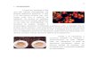 1. INTRODUÇÃO - Ufesengenhariamecanica.ufes.br/sites/engenhariamecanica.ufes... · 2017. 12. 14. · basicamente dois métodos para secagem de café: secagem natural em terreiro