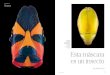Esta máscara es un insecto - Pascal Goet€¦ · (Catacanthus sp). A la derecha, Aureus (Anoplognathus aureus). Esta máscara es un insecto por Pascal Goet FOTOENSAYO DOCUMENTOS