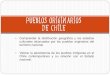 Pueblos originarios de Chile · 1. La población originaria antes de la llegada de los españoles 1. Diversidad de ecosistemas Zonas andinas Zonas costeras Zonas patagónicas 3. Diversidad